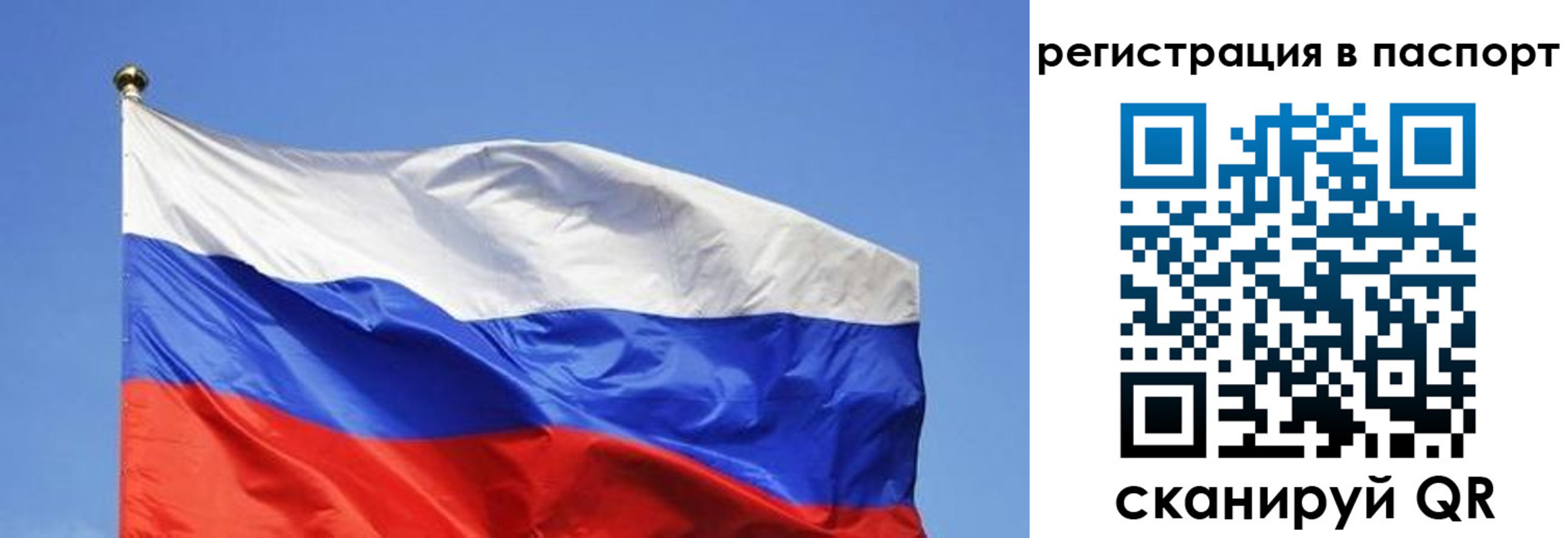 прописка в квартире в Ельне